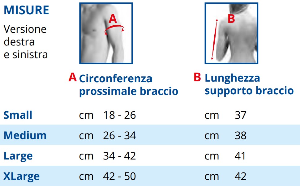 Art. Humerux - immagine 3